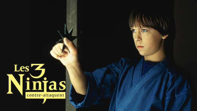 Les 3 ninjas contre-attaquent (1994) - Netflix | Flixable